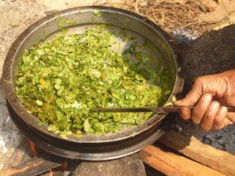 formation thérapeute Ayurvédique