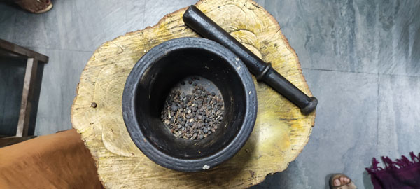 stage interne clinique Ayurvédique