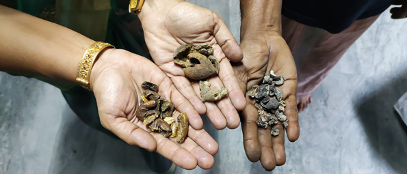 stage interne clinique Ayurvédique