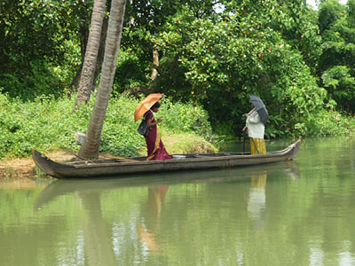 cure ayurvédique en Inde