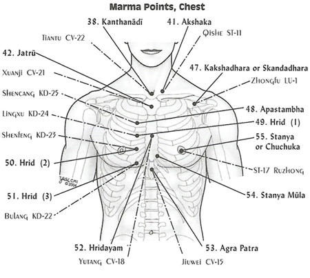 formation ayurvédique marmathérapie