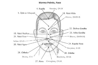 formation marmathérapie