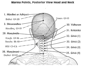 formation marmathérapie