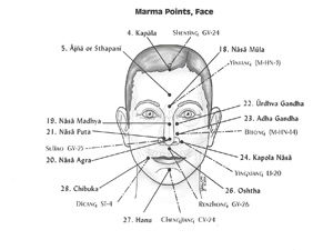 formation marmathérapie